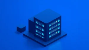 Customer Management Database: Fields, Structure, and Data Hygiene